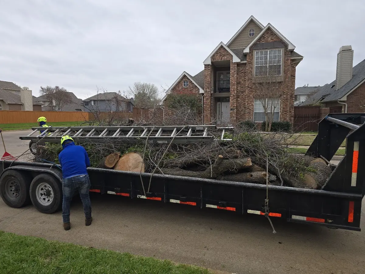 Expert Tree Fertilization with proper safety equipment in Dingess
